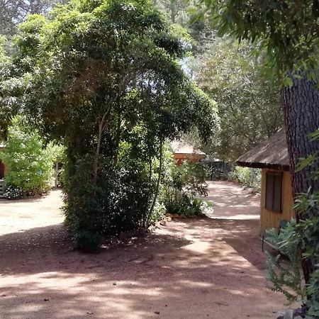 Las Chozas Punta del Este Buitenkant foto