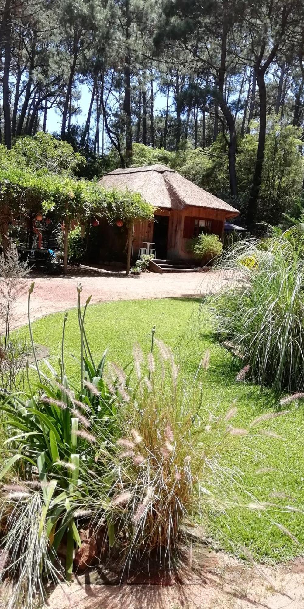 Las Chozas Punta del Este Buitenkant foto